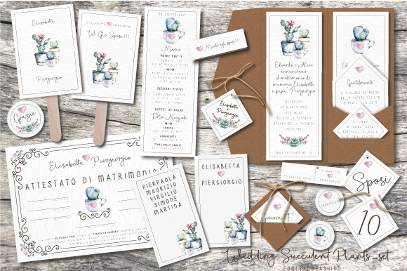 The Story Behind the Wedding Succulent Plants_Set